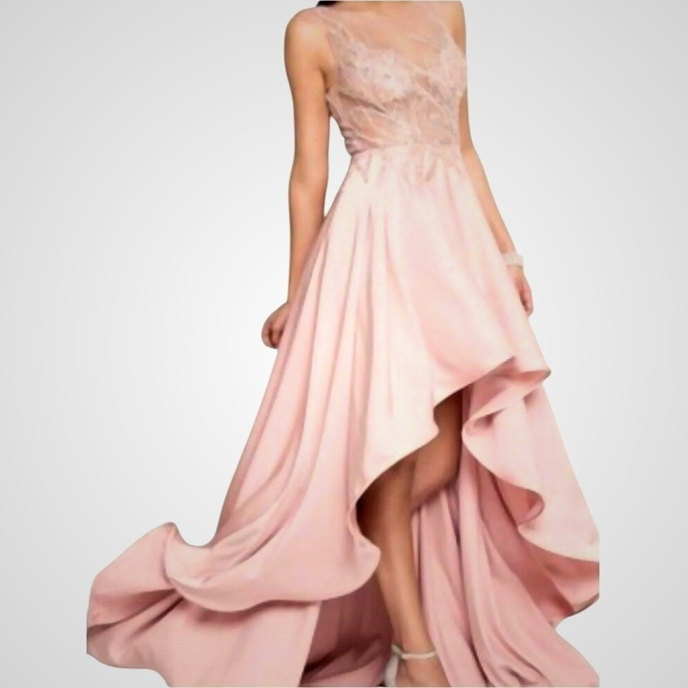 Terani Couture Pink Gown Sz 4 Hand Beaded‎ High Low Formal Dress Prom Statement